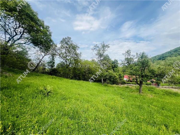 Teren intravilan de 1811 mp situat in Sibiel judetul Sibiu - 10