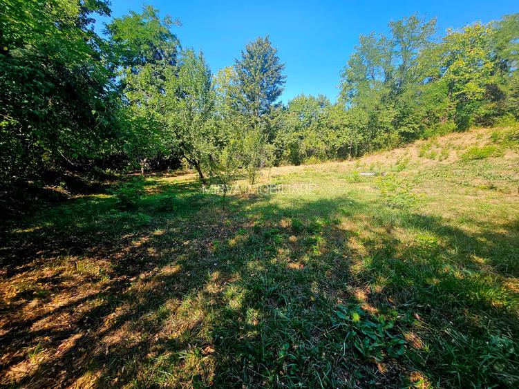 Teren intravilan 2322 mp, Păcuri – vedere superbă spre pădure! - 12