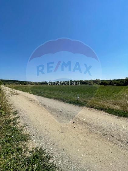 TEREN  INTRAVILAN  5000mp ORAS CISNADIE  STR. SELIMBARULUI - 9