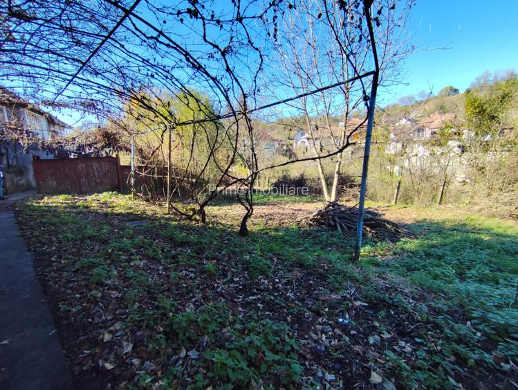 Casa Individuală 3 camere| 769 mp teren| zona Blaj - 10