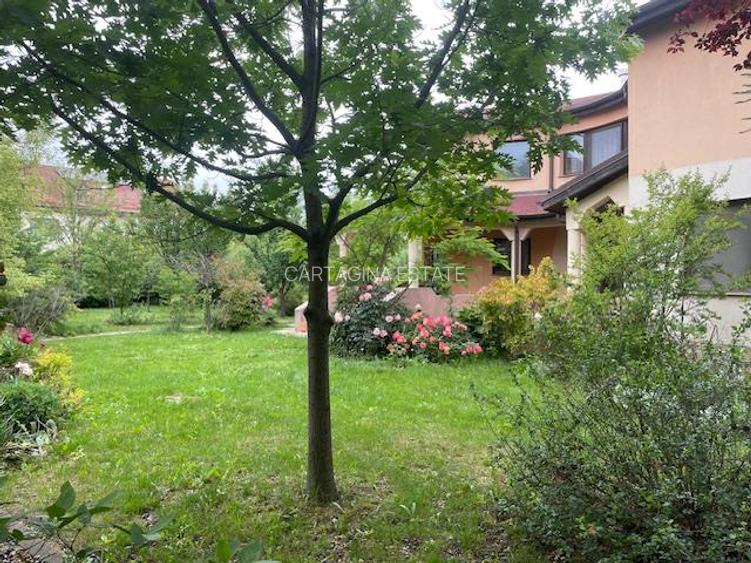 VILA INDIVIDUALA   P+1   PIPERA   DRUMUL BISERICII   1350MP TEREN - 2