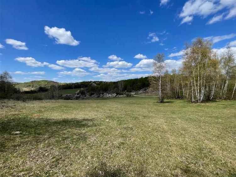 TEREN EXTRAVILAN | 103.000mp | BALANACA-GROSI | PASUNE | PASUNE IMPADURITA | BIH