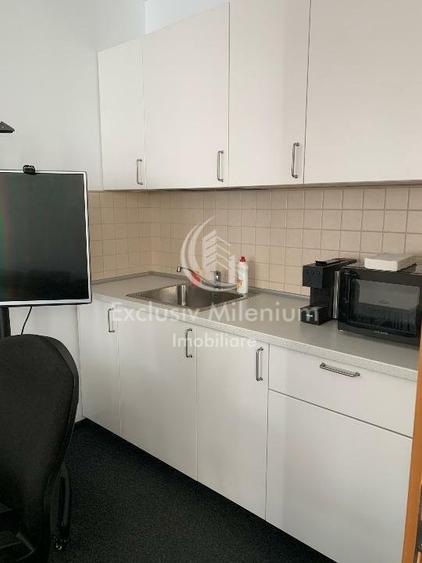 Spatiu Birouri Stirbei Voda -Berzei