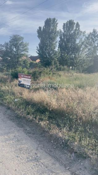 1040 mp, front 23ml, deschidere 2 strazi,  Cernele - 9