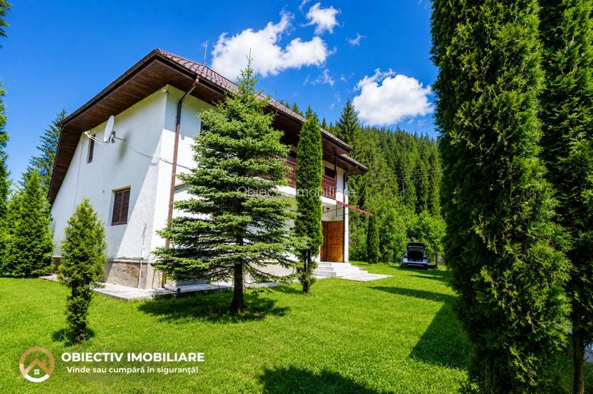 Cabană de Vânzare în Tarcău – Natură, Relaxare și Pescuit la Poartă! - 4