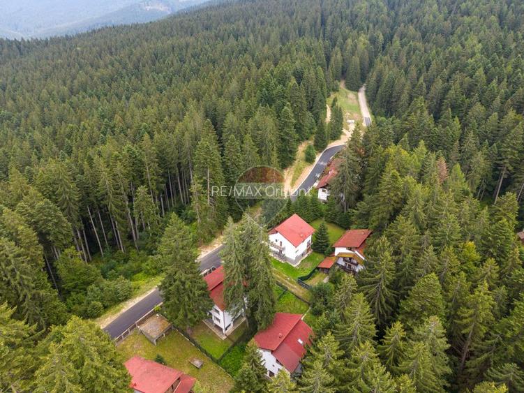 Casa 5 camere | viata la marginea padurii, intre brazi si liniste - 28