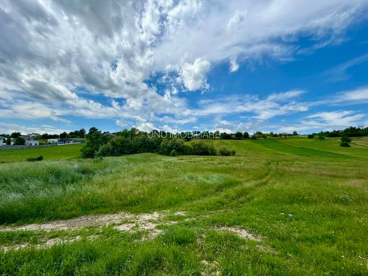 Teren 1.3 ha Aroneanu sat Dorobanț, Iași, pret 38 EUR/mp, Parțial Intravilan - 4