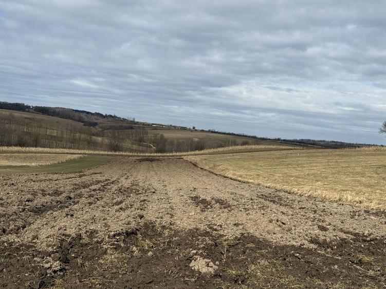 Teren intravilan | 16 ari | Horodnic de Jos – zona Călugărița