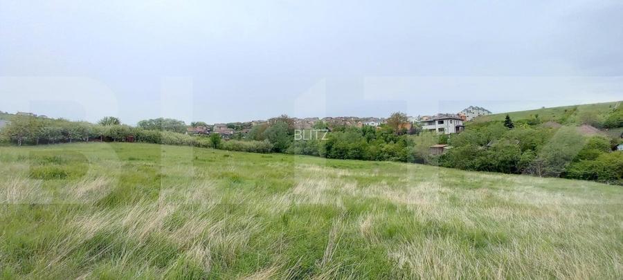 Teren intravilan, 1075 mp, utilitati in zona, Dezmir - 3