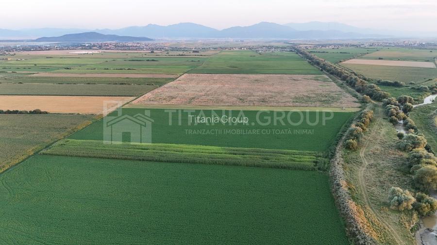 Teren extravilan, 8700 mp, pretabil agricultură sau investiție - Bod - 2