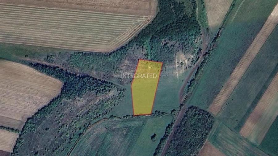 Teren extravilan - 5.900 mp, Halchiu - 2