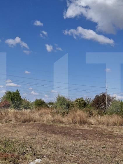 Teren intravilan 3.000 mp Milcov-Slatina | Prysmian | ideal investiție