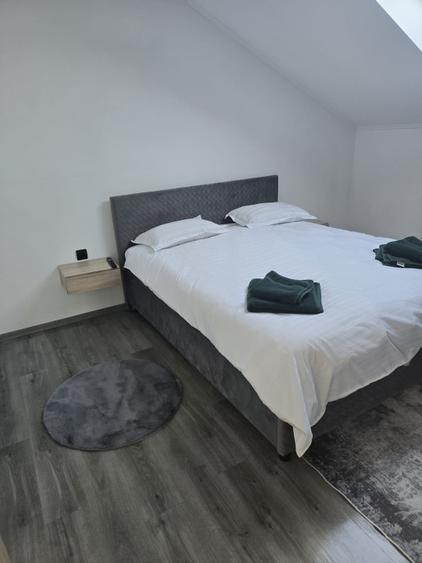 Proprietate exclusivistă pentru locuință sau pensiune – cameră VIP cu jacuzzi