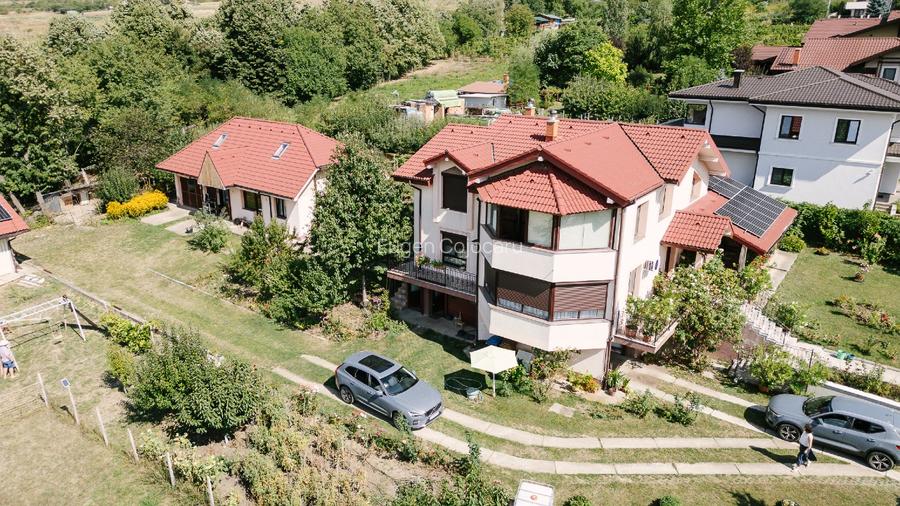 Proprietate deosebită în Bucium - 2