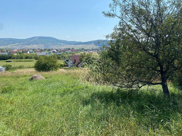 Teren intravilan 1300 mp-Viile cu Pomi-Unirea-Exclusiv