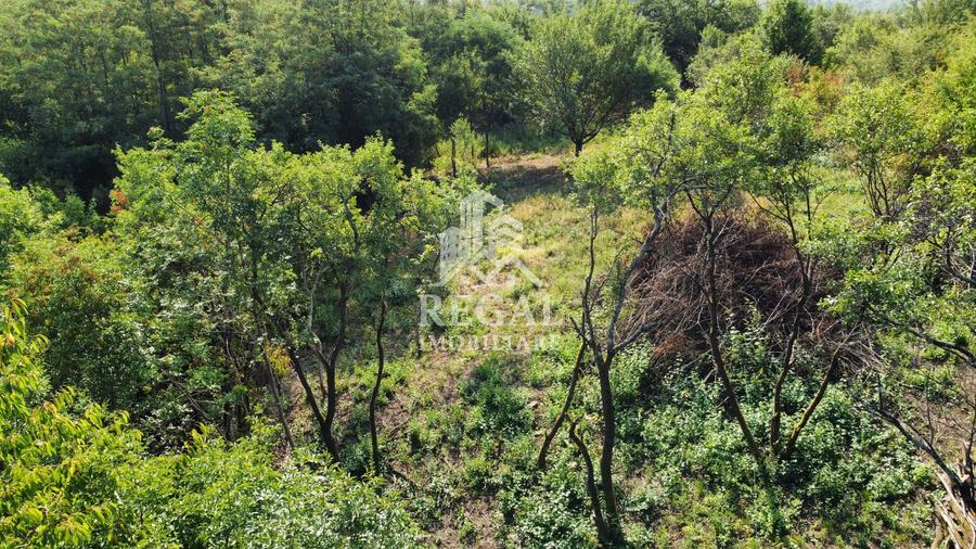 Teren intravilan de vânzare – 770 mp | Panoramă superbă asupra Lacului