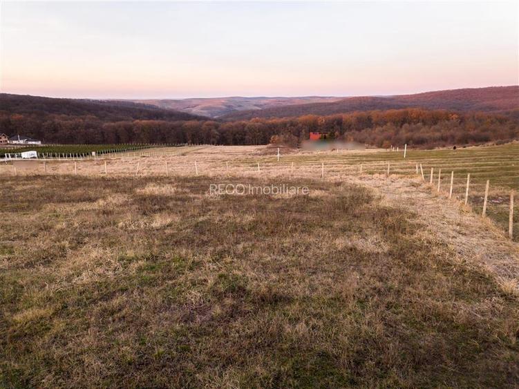 RECO Teren intravilan in Saldabagiu de Munte - 8