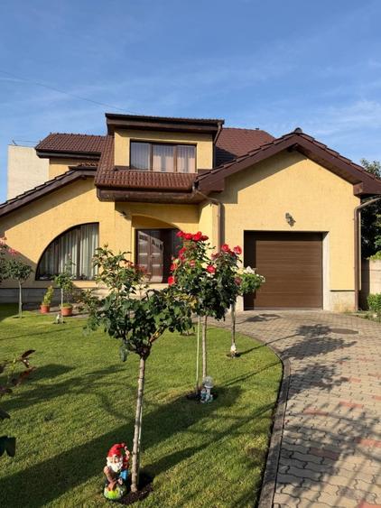 Vila vanzare P+1+demisol Vlaicu