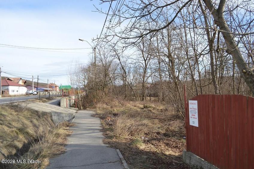 Valea Ursului - DN 7, Teren Stradal 2744 mp - 3