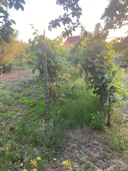 Vând Casă în Cordau  ,com Sanmartin  - 5