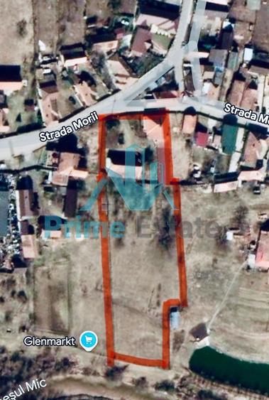 Casa cu teren de 4800 mp in Gilau
