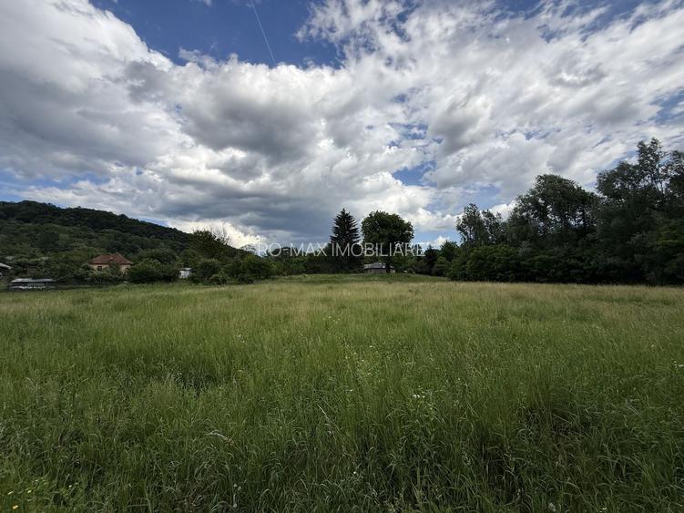 Teren plat-intravilan -3800 mp, cu pădurice și ieșire la râu! - 14