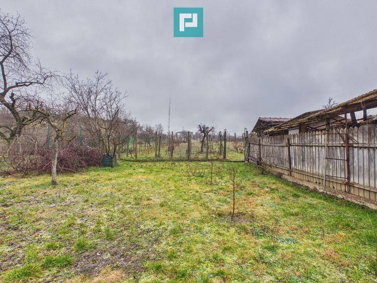 Vilă stil montan, 270 mp, teren 3000 mp