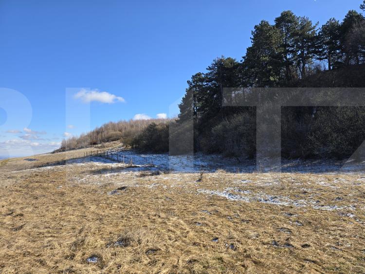 Teren intravilan 4000 mp | Panoramă superbă | Lângă statia meteo