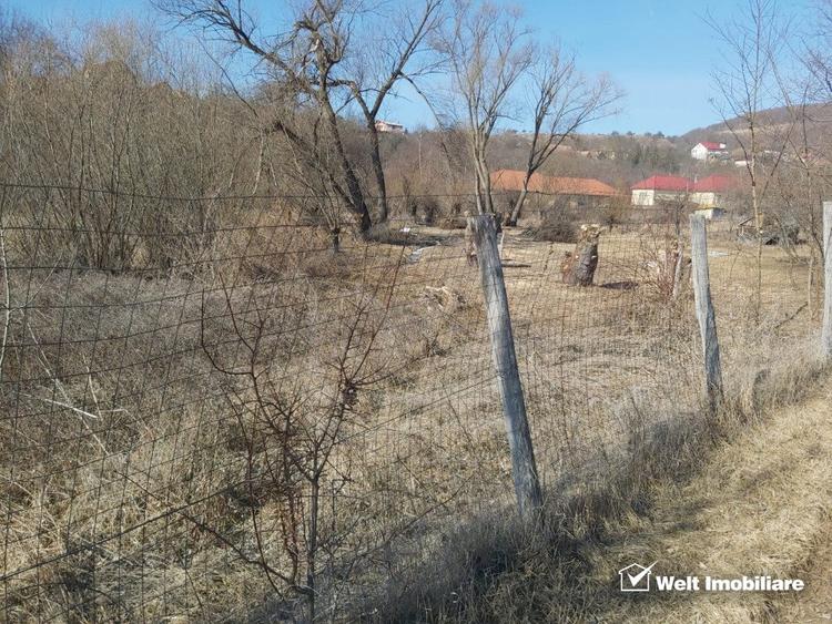 Teren intravilan in suprafata de 1000 mp, Ciurila