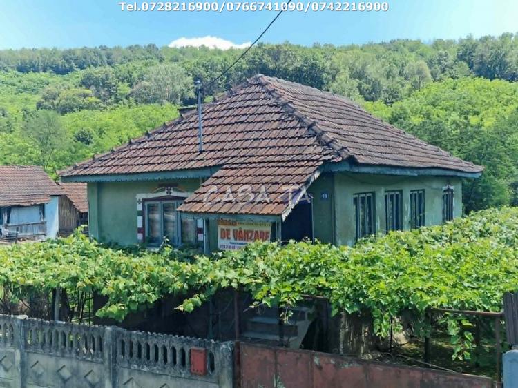 Casa situata in orasul Targu-Carbunesti , Sat Ștefanesti