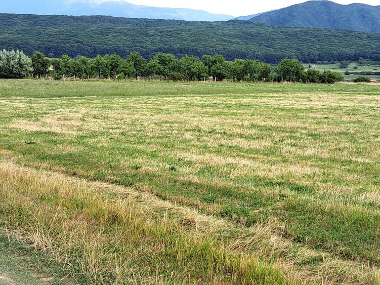Oportunitate-Teren Extravilan 6200 mp cu vedere Panoramica-Tropinii Noi-Rasinari