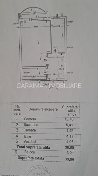 LACUL TEI  INTRE PARCUL CIRULUI SI PARCUL TEI - 2