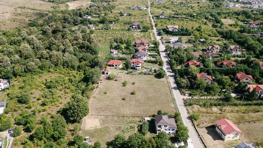 Proprietate deosebită în Bucium - 6