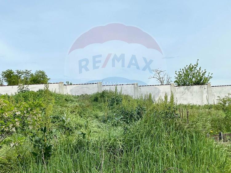 Teren intravilan de vanzare 2,464 mp, Gurbanesti - 5