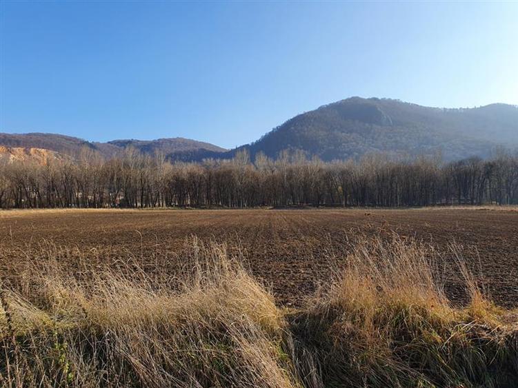 Vanzare Teren intravilan Str. Cucului, zona Bartolomeu 18600 mp