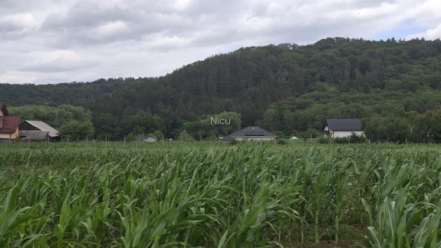 Se vinde teren de 5000mp, intr o zona foarte liniștită aproape de pădure - 3