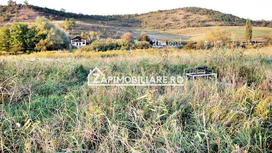 De vanzare 2 terenuri de 29.500 mp si 1.400 mp.29 euro mp
