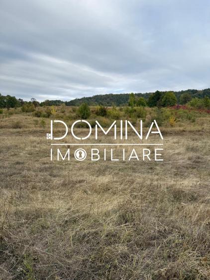 Vânzare teren 13.000 mp - Runcu-Suseni - oportunitate turistică