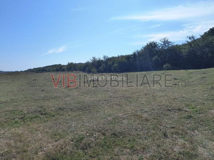 Baicoi/ Saramura/Teren investitie 7500 mp/ d_68 - 2
