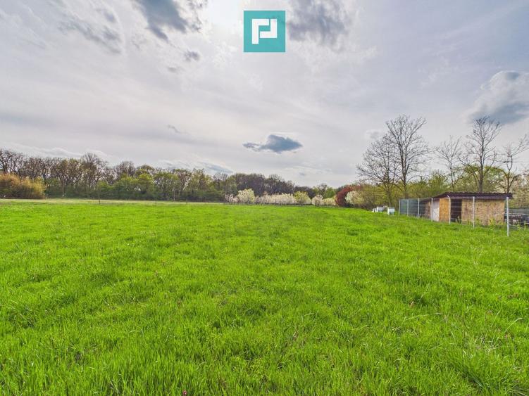 Teren intravilan, 820 mp, Pădure Giroc