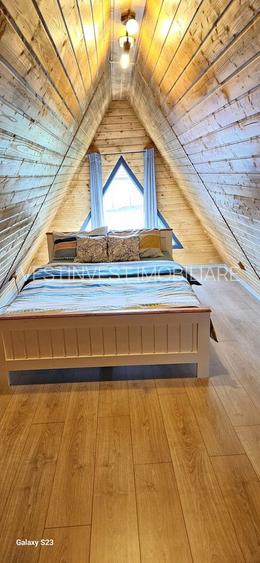 Complex din casa noua si 3 cabane, piscina încalzita 6600 mp teren - 5