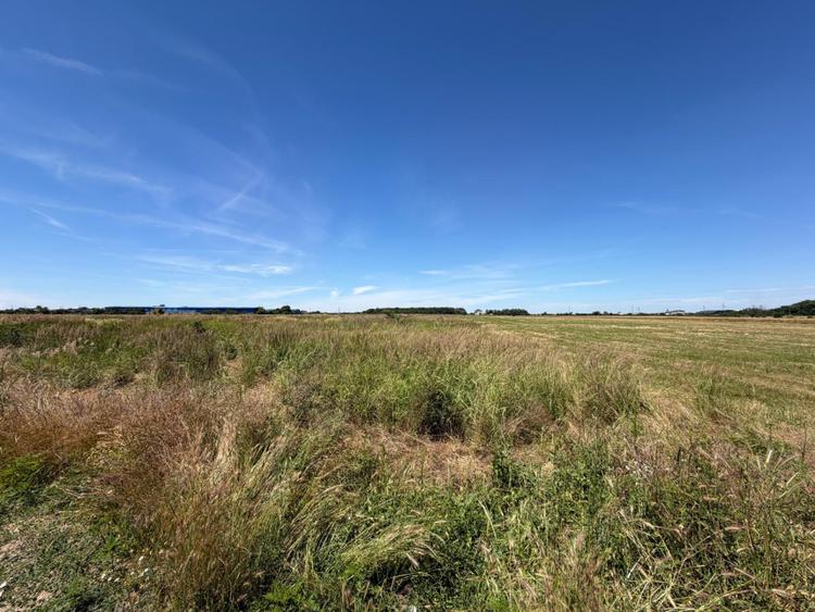 Teren 3550 mp, oportunitate investiție, zona Cârcea - aproape de centură