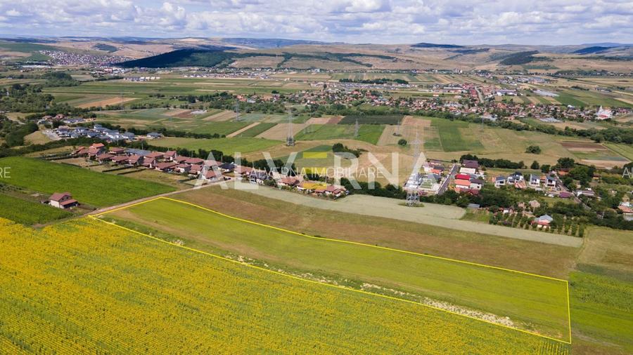 INVESTITIE! Teren constructii 11.600 mp | front 45.7m | Jucu de Sus - 5