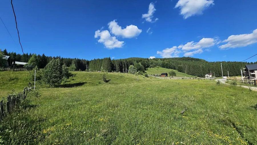 Teren intravilan Traisteni, Valea Doftanei – 2.290 mp, deschidere mare, padure - 7