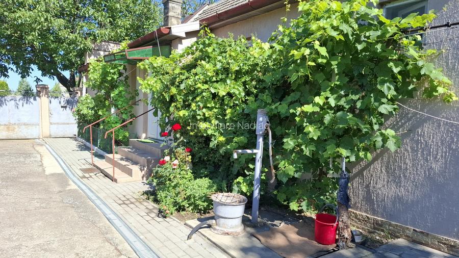 Casa 4 camere in Seitin Judetul Arad - 19