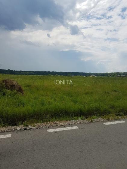 Teren de vanzare  7.400mp Ciolpani -Intravilan 300m de la DN1 -STRADA ASFALTATA  - 4