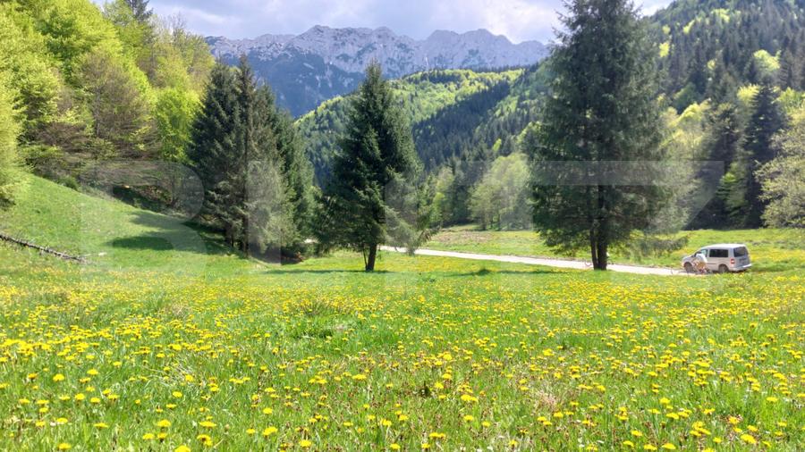 Teren exceptional de vanzare, 5170 mp  zona Plaiul Foii, Zarnesti
