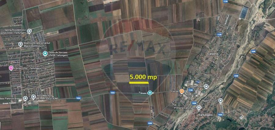 Teren Extravilan 5.000 mp Tarlungeni / Strada Zizinului