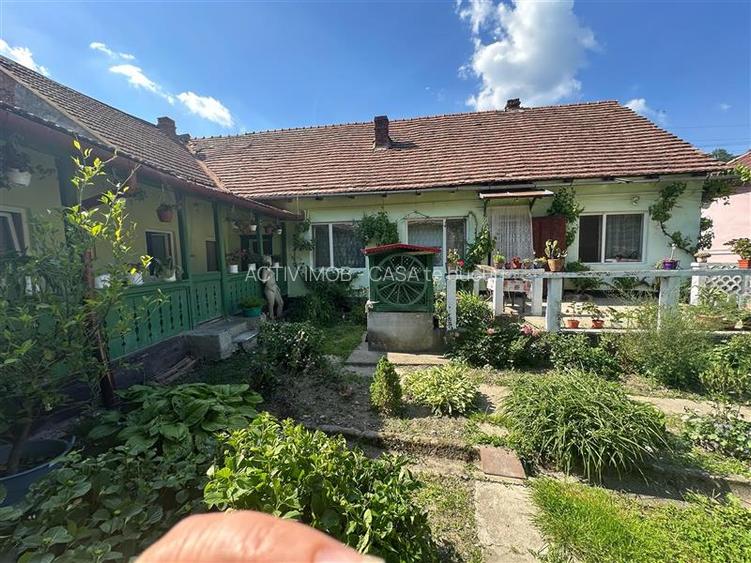 Bocsa Montana, Casa mare la strada principala - 19