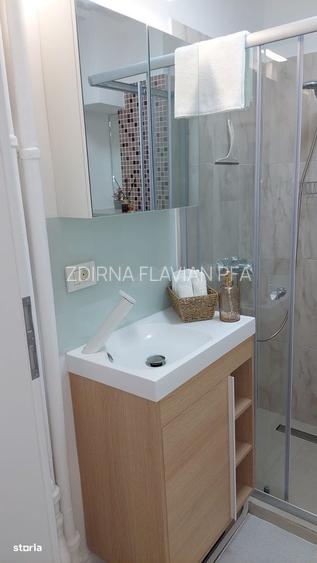 Studio- Cismigiu - Brezoianu - 8